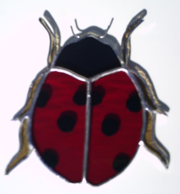 coccinelle