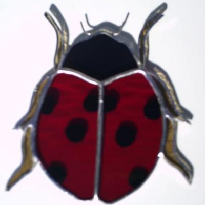 coccinelle