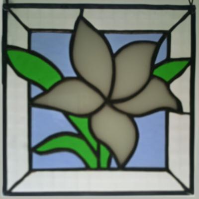 fleur blanche