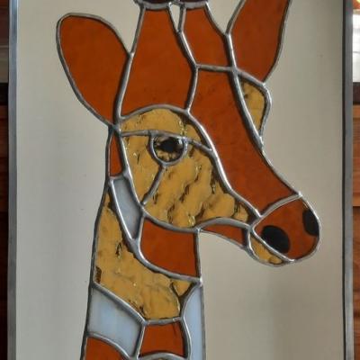 Girafe pour michel