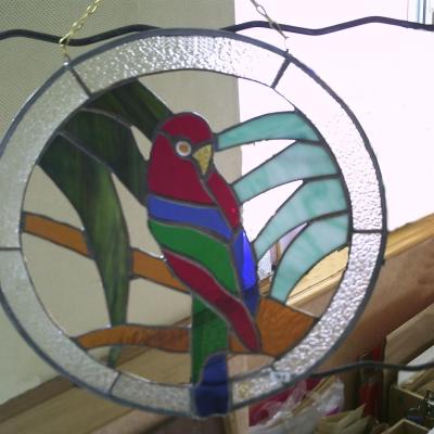 perroquet libre
