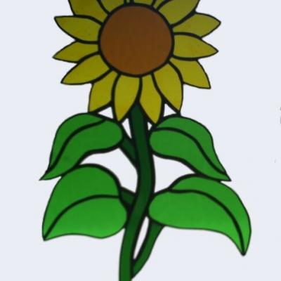 tournesol